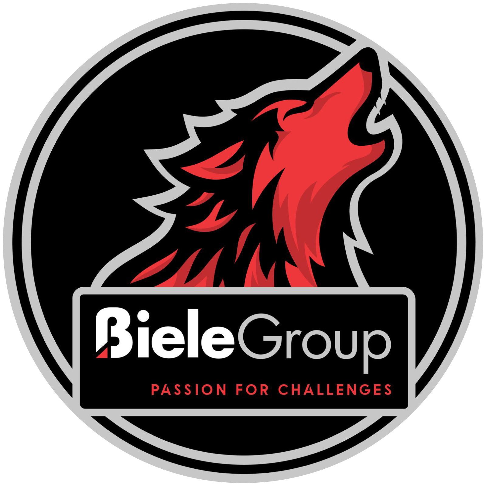 Biele ISB